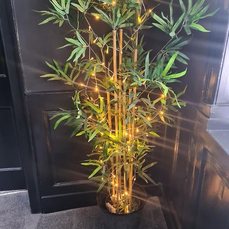 Carambola Luxury Air Bnb In The Heart Of Beverley公寓 外观 照片