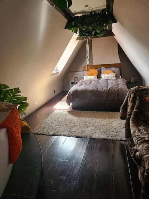 Carambola Luxury Air Bnb In The Heart Of Beverley公寓 外观 照片