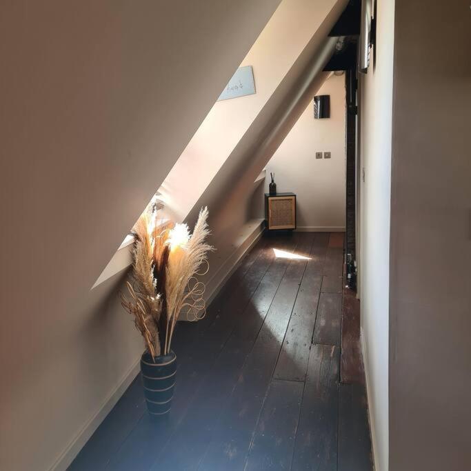 Carambola Luxury Air Bnb In The Heart Of Beverley公寓 外观 照片