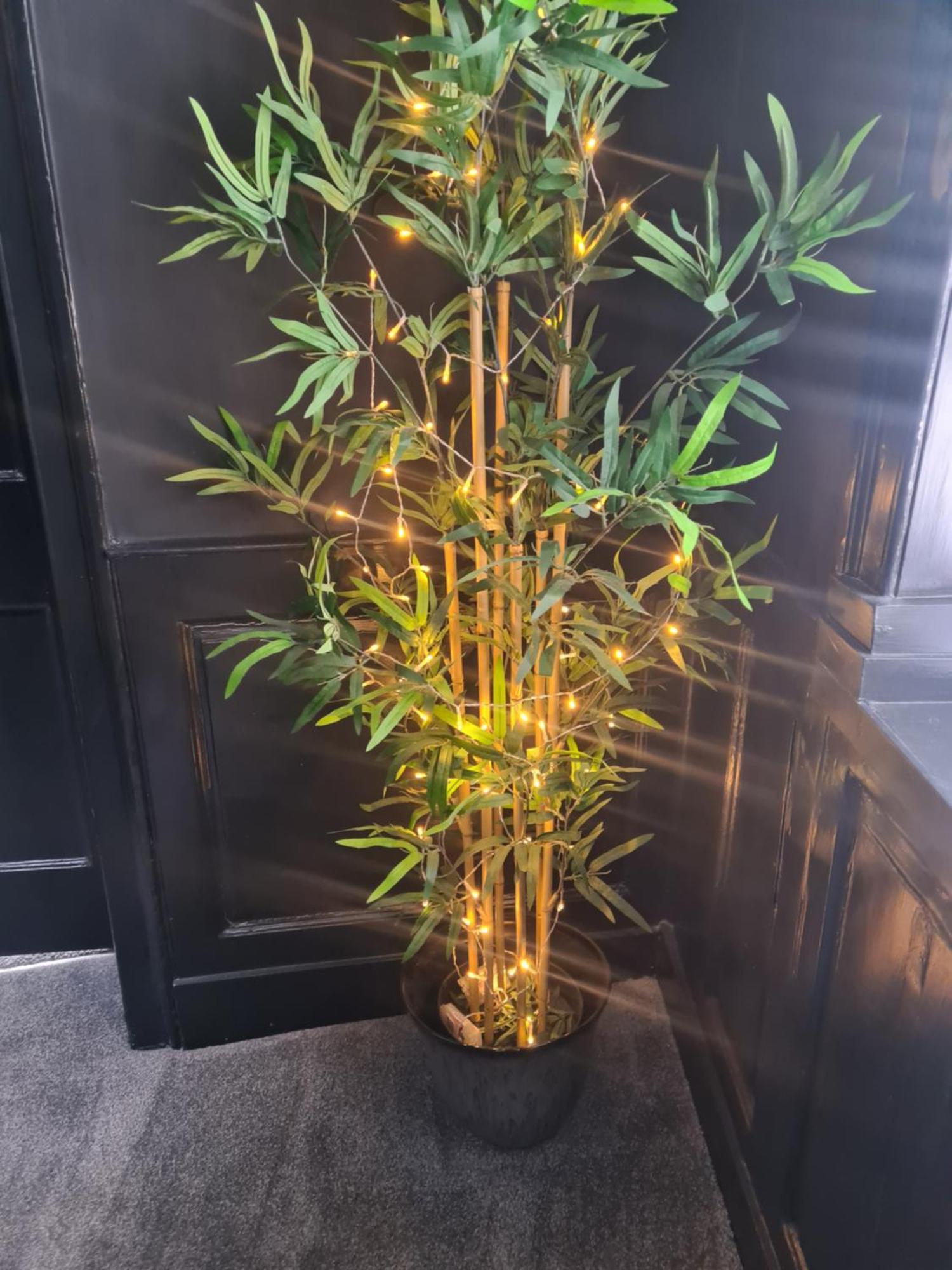 Carambola Luxury Air Bnb In The Heart Of Beverley公寓 外观 照片